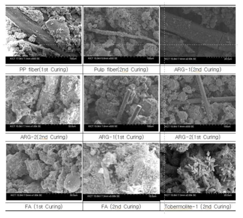 Cake 시험체의 1, 2차 양생 후 미세구조 분석