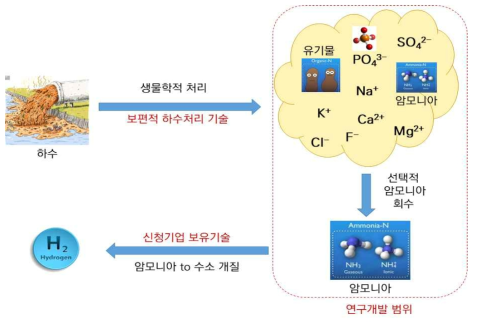 하수 내 암모니아의 수소 자원화 방안 모식도