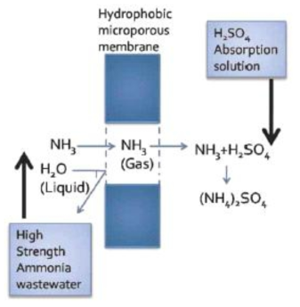 소수성 분리막 기반 암모니아 회수 기술 개요도