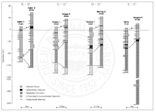 기존 자료 지질단면도(B-B’,C-C’,D-D’,E-E’)