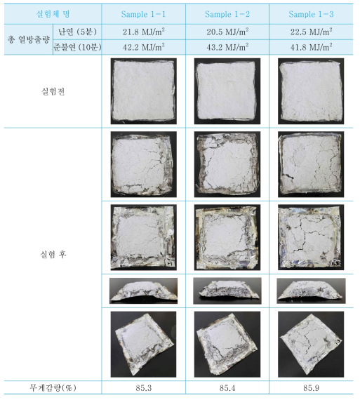 Sample 1 실험체 난연성능 분석 결과