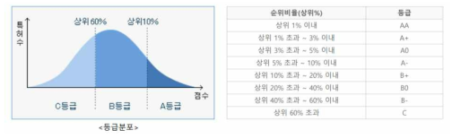 특허 가치 평가등급 기준