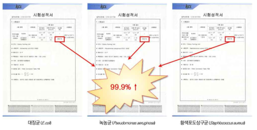 광촉매 공기정화 필터·장치의 부유 세균 저감 성능평가 결과