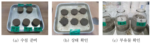 수침 시험