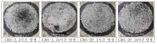 베트남 샘플 1C 실험전경