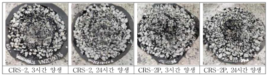 베트남 샘플 2C 실험전경