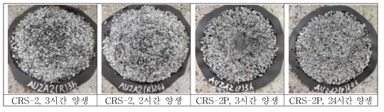 호주 샘플 2A 실험전경