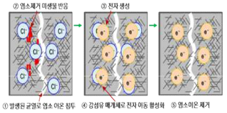 미생물을 활용한 염소이온 제거 기술