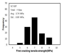 균열발생 강도 분포