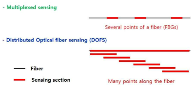 이산형 및 분포형 광섬유 센서