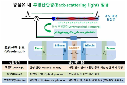 분포형 광섬유 계측 원리: 광섬유 내 산란 현상