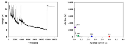 (좌) 전극 가속수명시험 결과, (우) 모델예측 결과