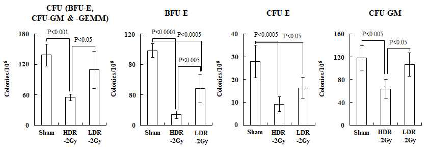 저선량률 및 고선량률 방사선 조사 (2Gy)후, Bone marrow cell의 CFU (BFU-E, CFU-GM, & CFU-GEMM), BFU-E, CFU-E & CFU-GM 형성 비교 (CFU-E : Colony forming unit-erythroid, Statistical analysis : ANOVA with Tukey’s post hoc test)