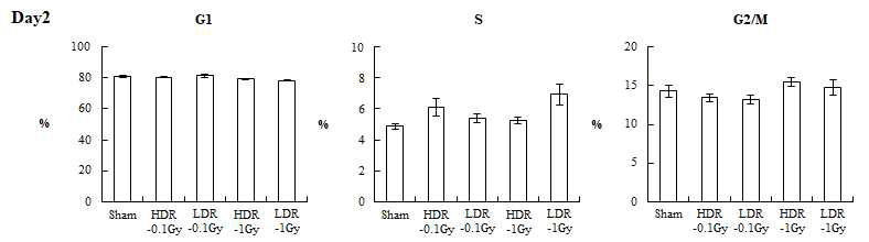 저선량률 및 고선량률 방사선 조사 후, UCB-MSCs의 세포주기 변화 (Day 2)