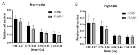 Normoxia/Hypoxia상태에서 정상폐세포주(CCD18-Lu)의 CONV/FLASH 조사 결과