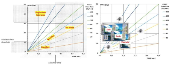 2022년 FRPT 학회에서 FLASH 효과가 나타나는 선량 및 선량률의 효과 범위 그래프