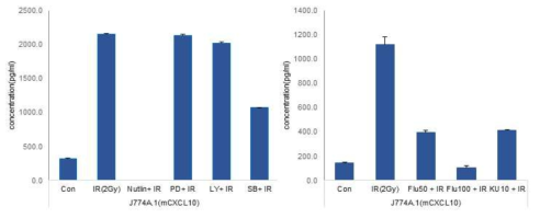 다양한 약리학적 억제제들에 의한 방사선 유도 대식세포의 CXCL10 생성 변화
