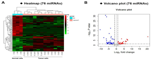 정상 대장세포와 대장암 세포에서 각각 유래된 엑소좀 내의 microRNA 발현 차이