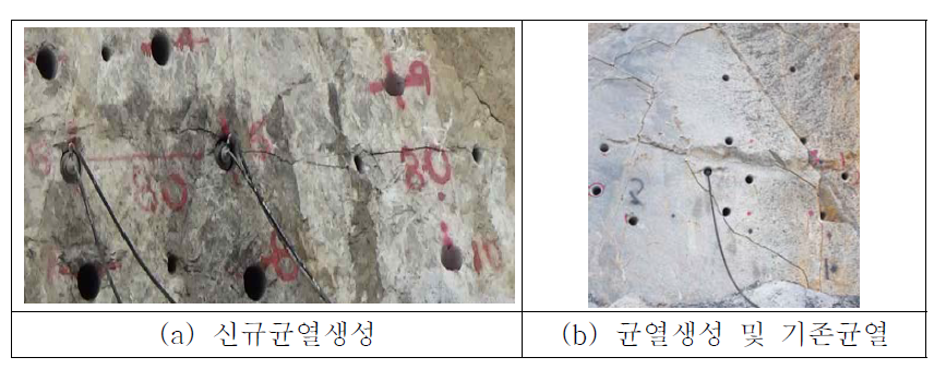 자유면에서 현장실험