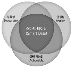 스마트 데이터의 특징 출처: 연구진이 구성함