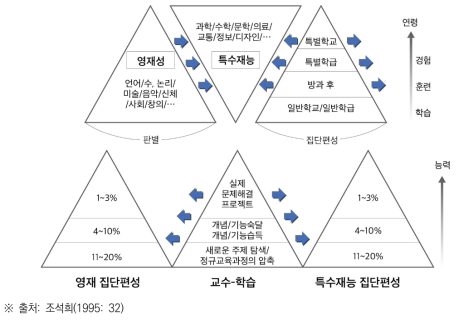 영재성·특수재능의 종단적(위)·횡단적(아래) 계발