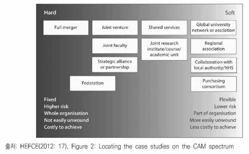 CAM(collaboration-alliance-merger) 스펙트럼에 따른 사례 연구의 유형