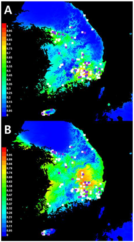 붉은귀거북의 분포 자료를 바탕으로 예측한 서식지 적합성(habitat suitability). A) 현재 분포 가능 지역, B) 미래(2070년). 빨간색 지역 일수록 서식 가능성 높다는 것을 의미