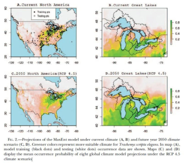 북미와 Great Lakes에서 현재 분포 모습과 RCP 4.5 시나리오에서 붉은귀거북의 분포 예측 모습