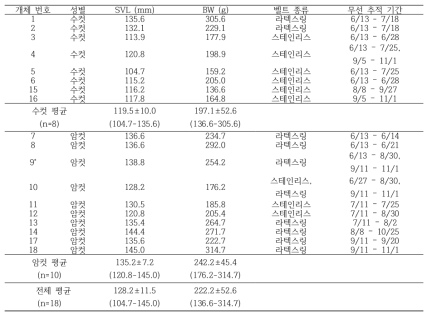 무선추적에 사용된 황소개구리의 SVL 및 BW. *상오지 개체