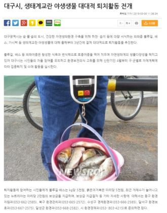 대구에서 진행된 생태계교란야생생물 퇴치운동