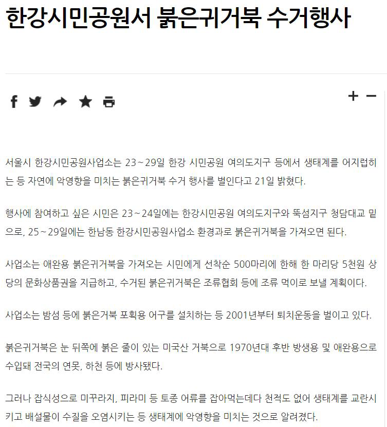 한강공원에서 진행된 붉은귀거북 퇴치 운동