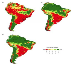 남아메리카 지역의 황소개구리, 아프리카발톱개구리의 기후적합성 모델 결과 지도. (a) 황소개구리. (b) 아프리카발톱개구리. (c) 두 종의 합 (Barbosa et al., 2017)