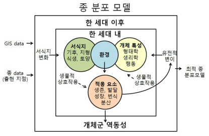 최적 종분포모델 개발 과정