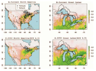 Maxent 모델 예측 결과. (A, B) 현재 기후 상황에 따른 예측. (C,D) 미래 2050년 RCP 4.5 시나리오에 따른 예측. 녹색일수록 붉은귀거북이 서식하기 더 적합함. (A)의 검은점은 학습데이터 (training), 흰점은 검증데이터 (testing) (Spear et al., 2018)