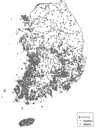 모델 대상종(황소개구리)의 출현자료/비출현자료 지도. 검은점=출현자료. 흰점=비출현자료