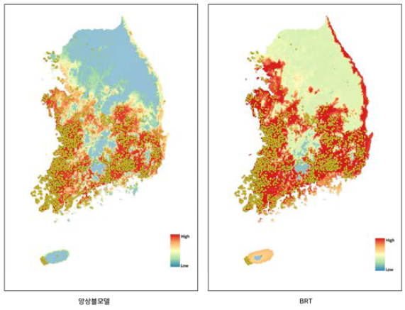 앙상블모델 결과와 BRT 모델 결과 비교. (A) 앙상블 모델 결과. (B) BRT 모델 결과: 황소개구리 출현 데이터가 없는 경기도, 강원도 동부에 0.5이상의 예측확률을 보임