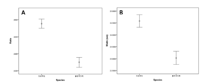 붉은귀거북과 리버쿠터의 알의 외형적 차이 그래프(A : 비율, B : 단경).