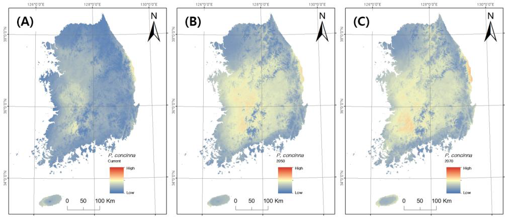 리버쿠터의 국내 잠재적인 분포 확률. 파란색~붉은색: 잠재적인 분포 확률 낮음~높음. (A) 현재. (B) RCP 4.5 2050년. (C) RCP 4.5 2070년.