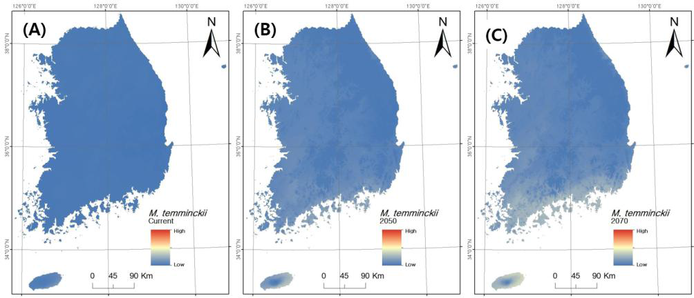 악어거북의 국내 잠재적인 분포 확률. 파란색~붉은색: 잠재적인 분포 확률 낮음~높음. (A) 현재. (B) RCP 4.5 2050년. (C) RCP 4.5 2070년.