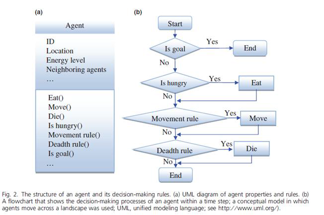 IBM을 모델 구축을 위한 생태 시스템 구축 과정 예시(Tang and Bennett, 2010).