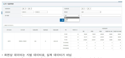 분석 – 지급내역 정보 화면 (1)