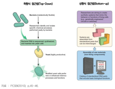 합성생물학의 하향식과 상향식 연구접근법