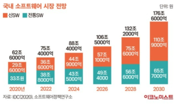 국내 소프트웨어 시장 전망 ※ 출처: https://economist.co.kr/2021/11/13/policy/checkReport/20211113125938637.html