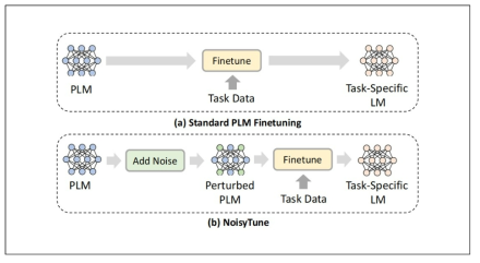 일반 언어모델의 Fine-tuning과 NoisyTune 과정 비교