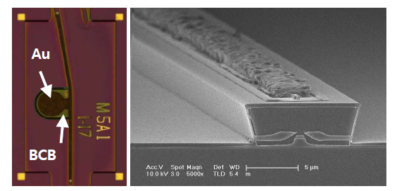 제작된10Gbps용 gain 칩 표면 사진