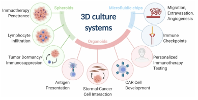 3D 인체 모사 융합 플랫폼의 암 치료 분야 활용 개념도(Cancers, 2021)