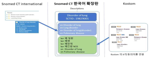 SNOMED-CT 기반의 보건 의료 용어 표준화