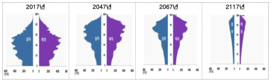 인구피라미드 변화: 2017~2117년