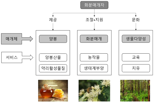 화분매개자가 제공하는 대표적인 생태계서비스