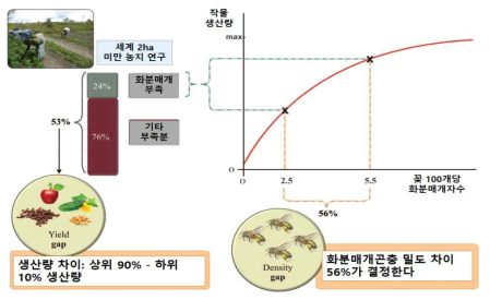 농작물 생산성에서 화분매개곤충의 기여도